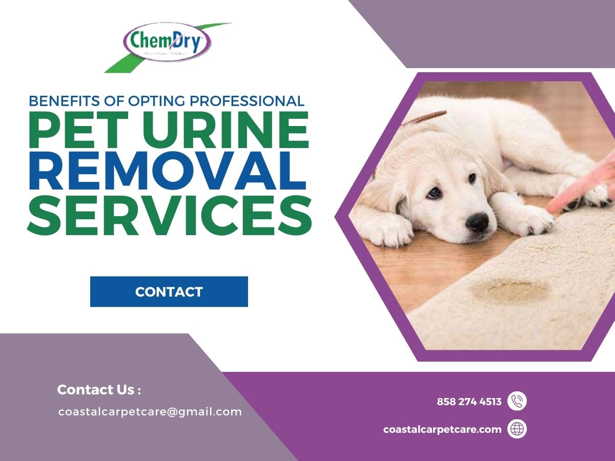 Benefits Of Opting Professional Pet Urine Removal Services