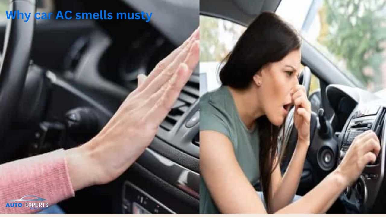 Why Your Car AC Smells Musty: Common Causes and Solutions